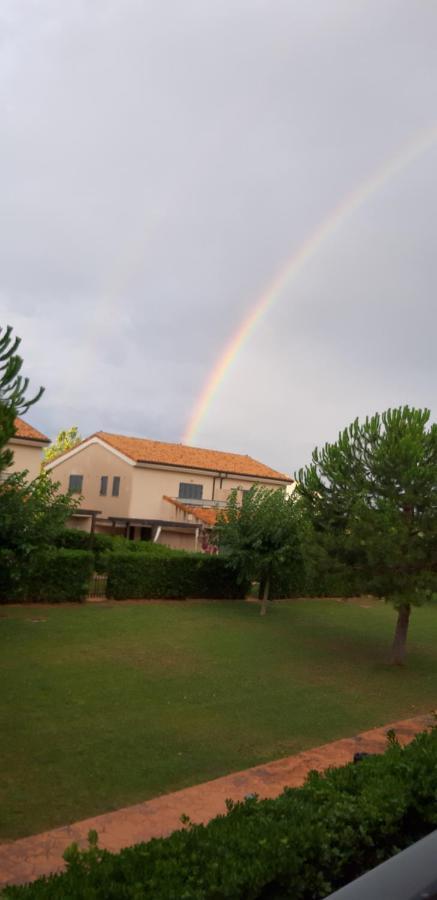 Pinar San Jorge (Castellon)